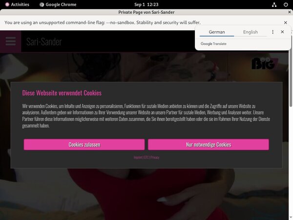 Acc Sari Sander
