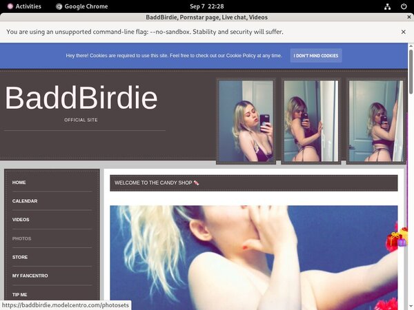 Account Premium Baddbirdie.modelcentro.com