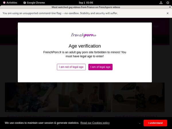 Accounts For French Porn Gay