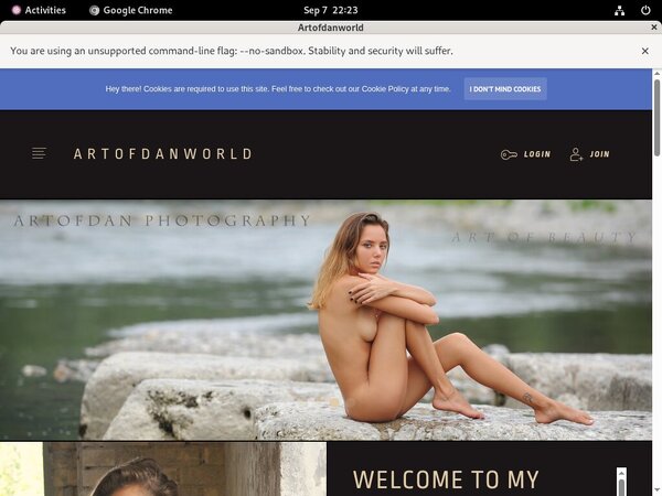 Artofdan Password And Account