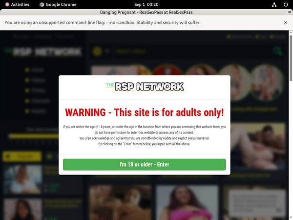 Banging Pregnant Porn Sex