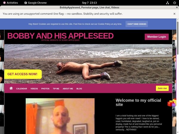 BobbyAppleseed Vxsbill Page