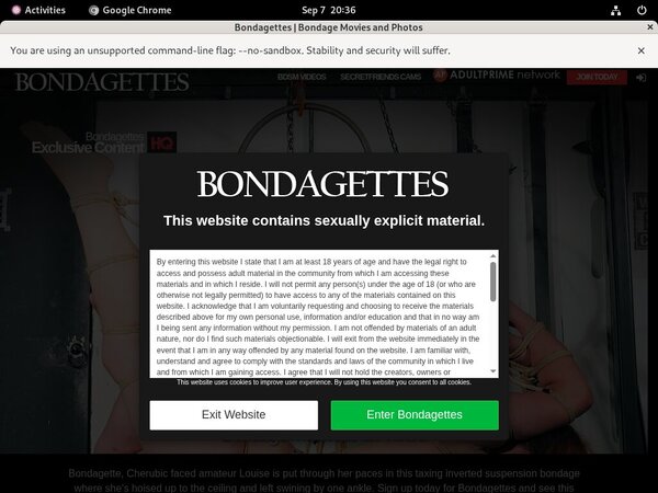 Bondagettes Review