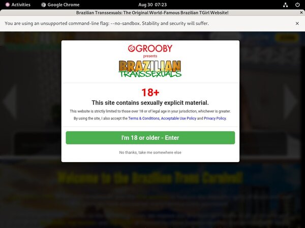 Brazilian Transsexuals Hd Movies