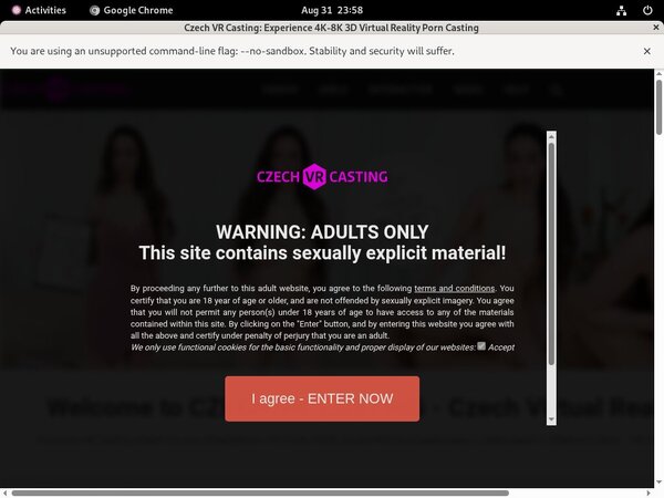 Czechvrcasting.com Get A Password