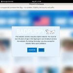 Discount Bad Puppy Com