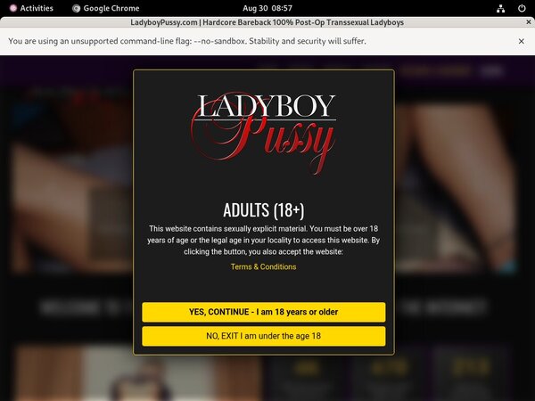 Discount Ladyboy Pussy Sale