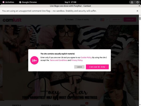 Free Camlust.com Account Passwords Free Camlust.com Account Passwords