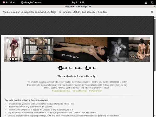 Free Password Bondagelife