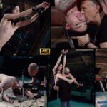 Free Subspaceland Premium Account