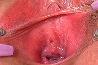 Free Working Gape My Pussy Account s2