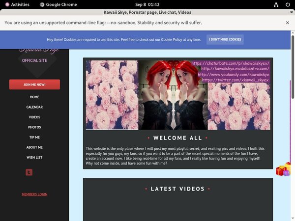 FreeKawaiiSkye Password