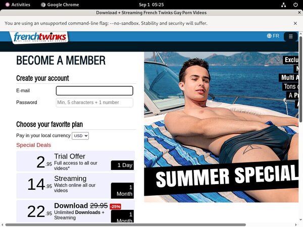 French Twinks Membership Deal
