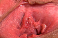 Gape My Pussy Segpay s1 Gape My Pussy Segpay s1