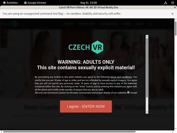 Get A Free Czech VR Account
