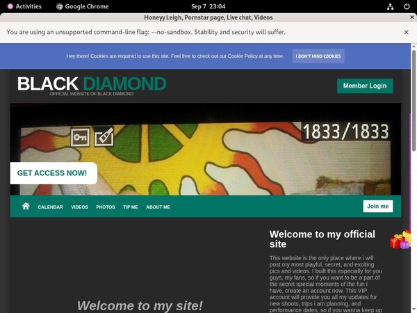 Get Honeyyleigh.modelcentro.com Promo Code