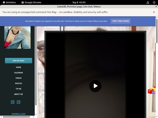 How Much Does Lizxxx30 Cost How Much Does Lizxxx30 Cost