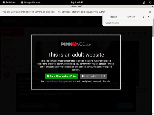 How To Get Free Pink O VOD Account