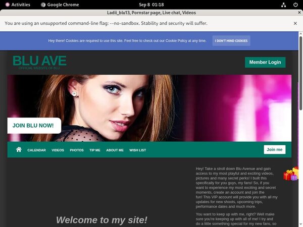 Ladiiblu13.modelcentro.com Facebook