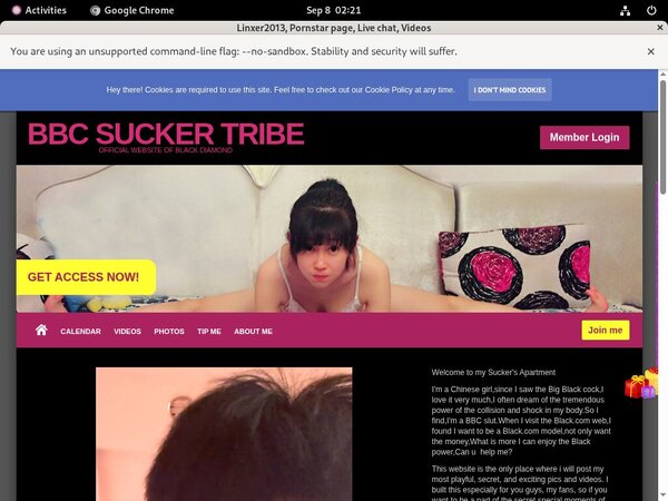 Linxer2013 Accept Pay Pal