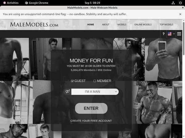 Male Models Segpay
