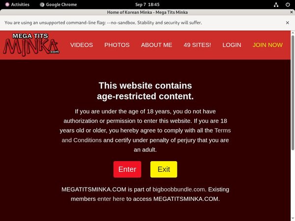 Megatitsminka.com Download