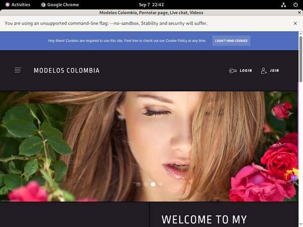 Modelos Colombia Netbilling