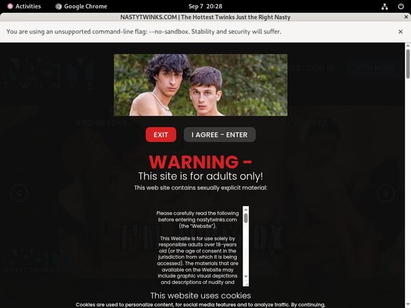 Nasty Twinks Male Pornstars