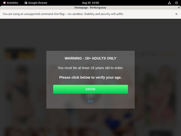 Perfectgonzo.com Accounts Daily