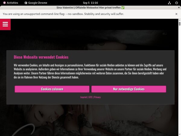 Sina Valentini Com Logins