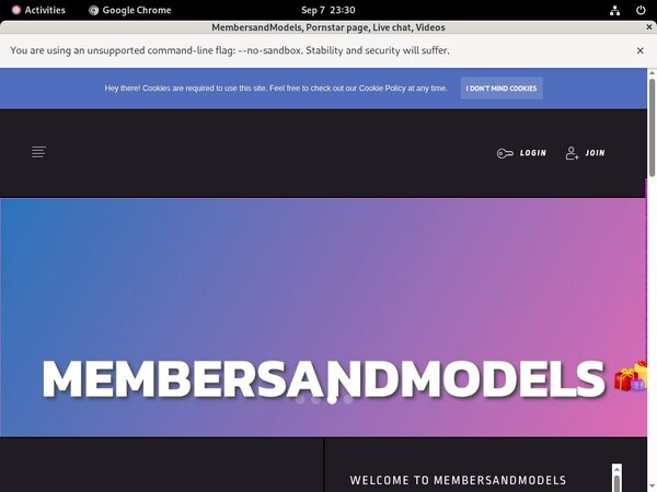 Studio.membersandmodels.com Account 2015