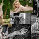 Subspace Land Cams