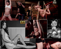 Subspaceland.com Cheap s1