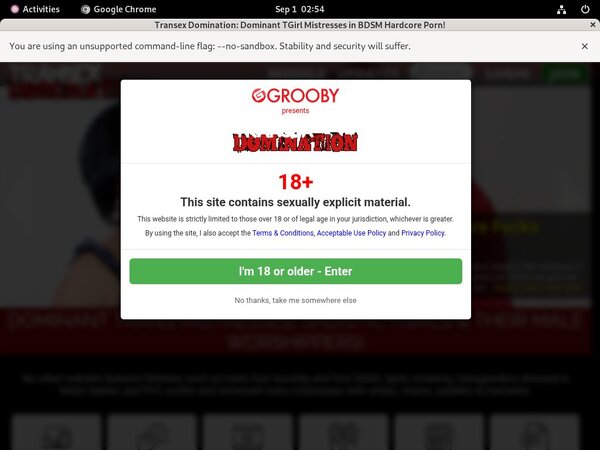 Transexdomination.com Rocketpay Transexdomination.com Rocketpay