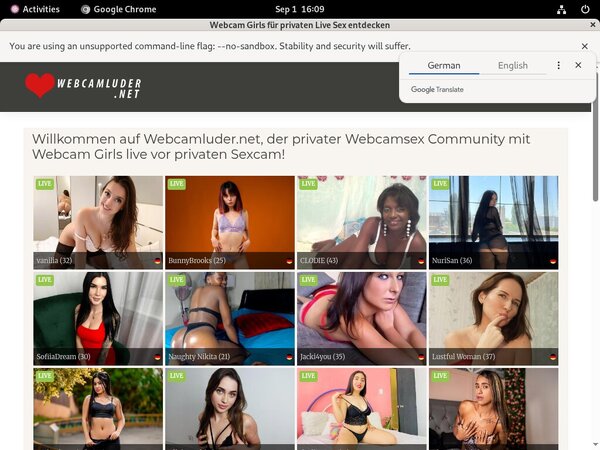 WebCam Luder Hacked Accounts
