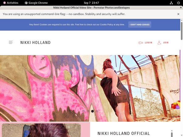 Nikki Holland Gallaries