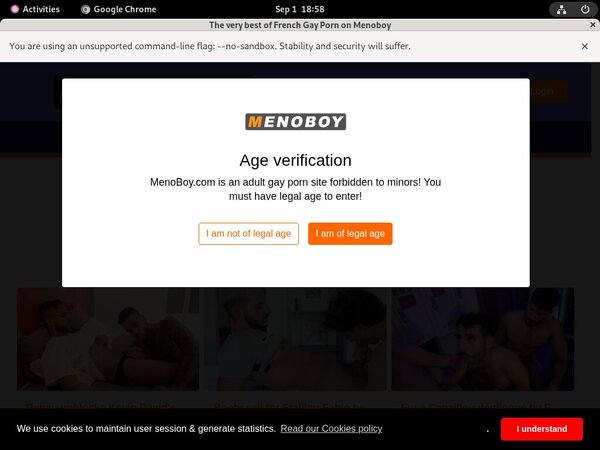 Free Passwords Meno Boy